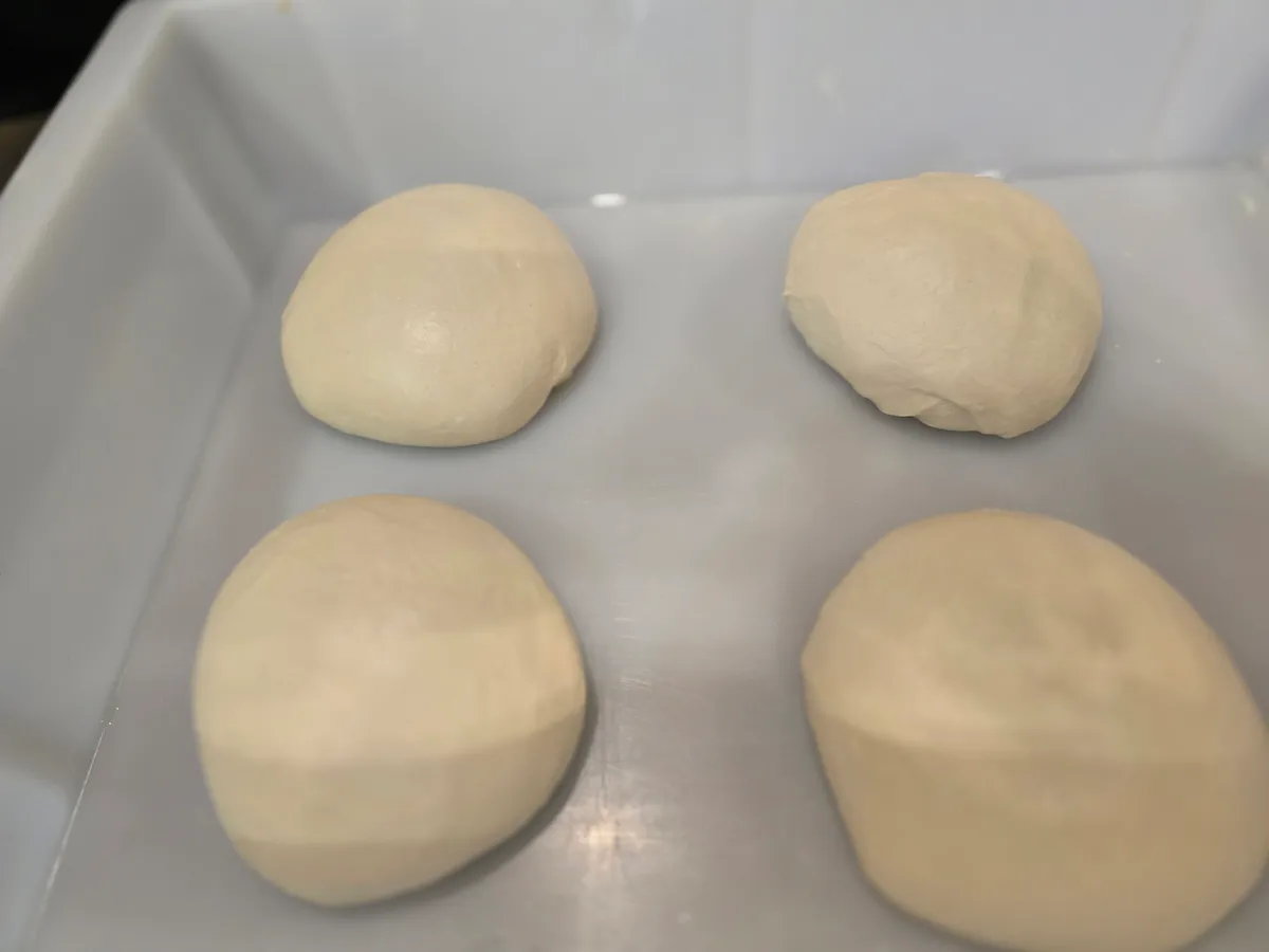 Vier frisch geformte Pizzateiglinge in der Gärbox — gleichmäßige Kugeln nach der Boulage