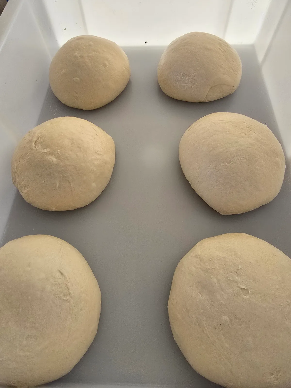 Sechs Pizzateig-Teiglinge in verschiedenen Größen auf einer weißen Arbeitsfläche — Vorbereitung für den Gozney