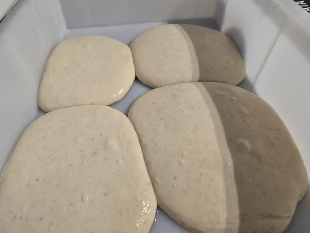 Pizzateiglinge nach langer Kaltgare — vollständig aufgegangen in der Gärbox