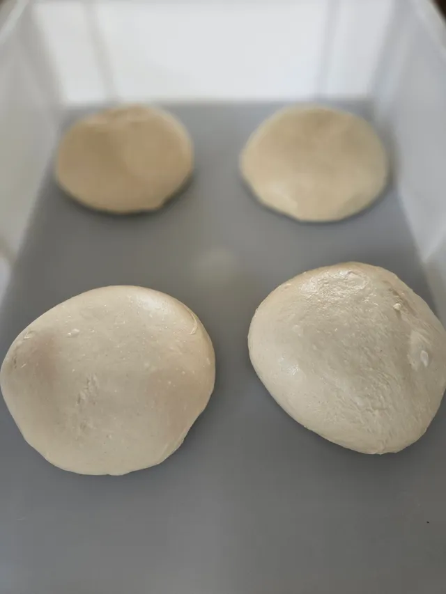 Vier Pizzateig-Ballen in Gärboxen nach der Kaltgare im Kühlschrank